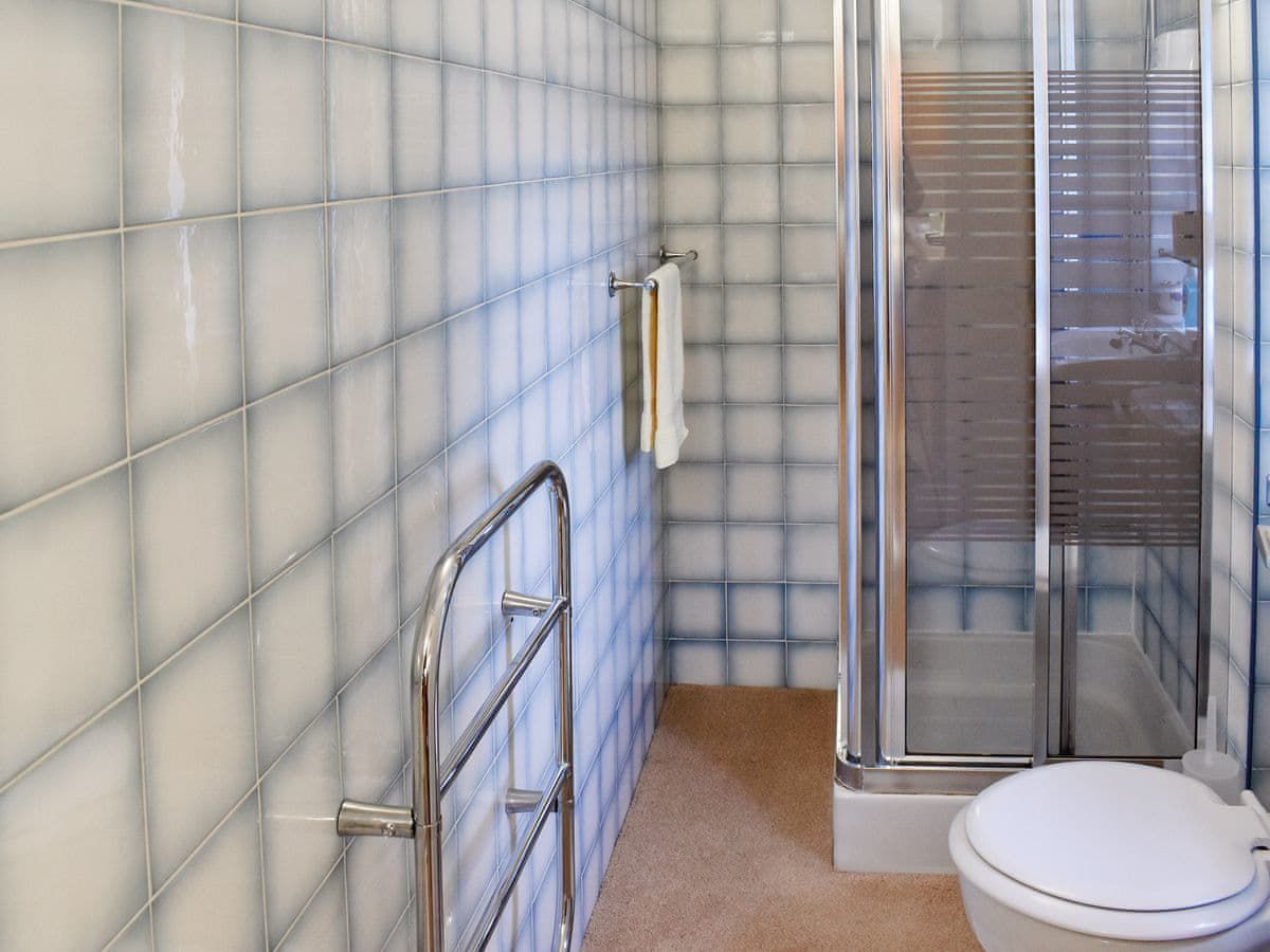 dog friendly driftwood llandudno petspyjamas