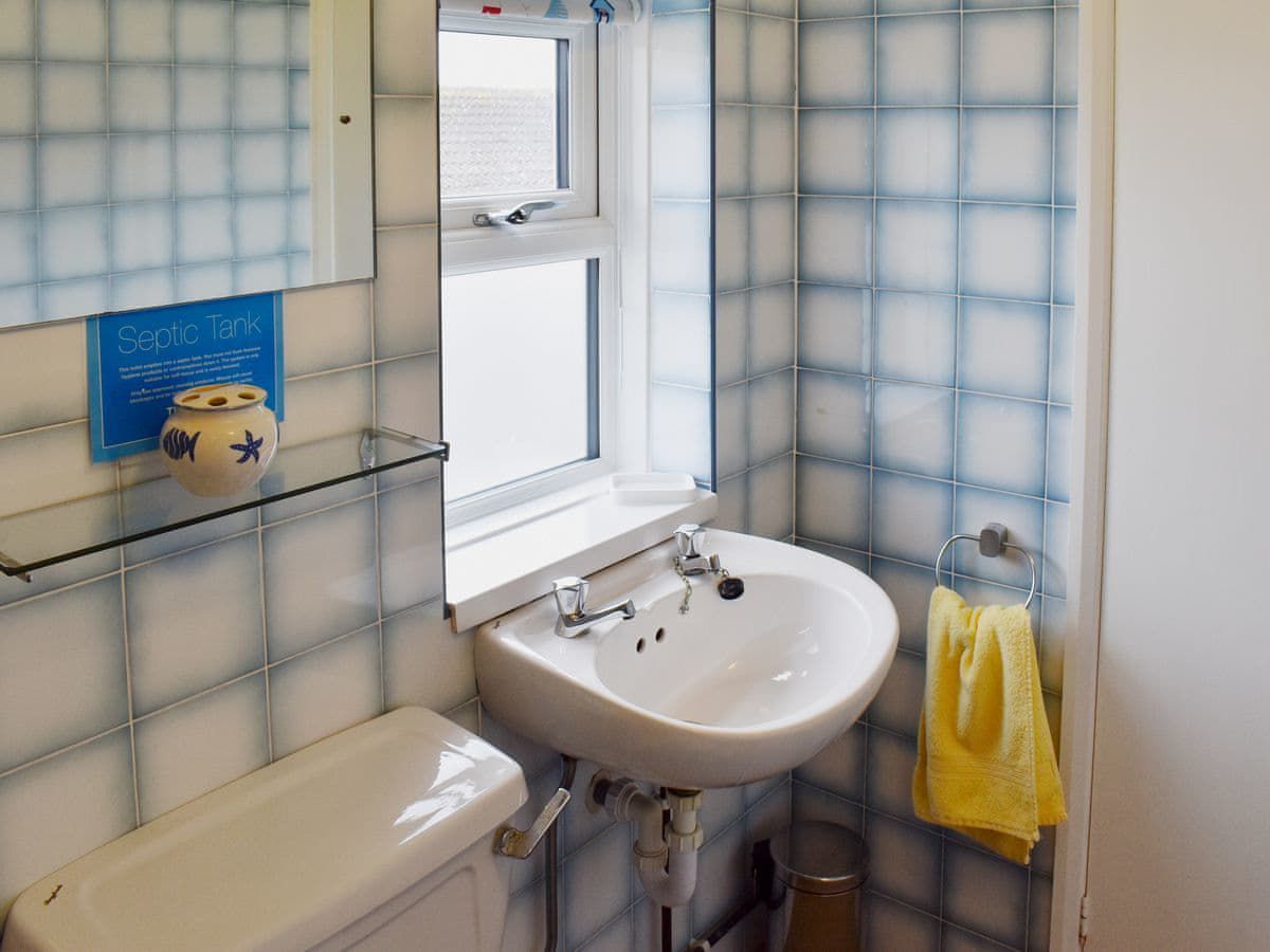 dog friendly driftwood llandudno petspyjamas