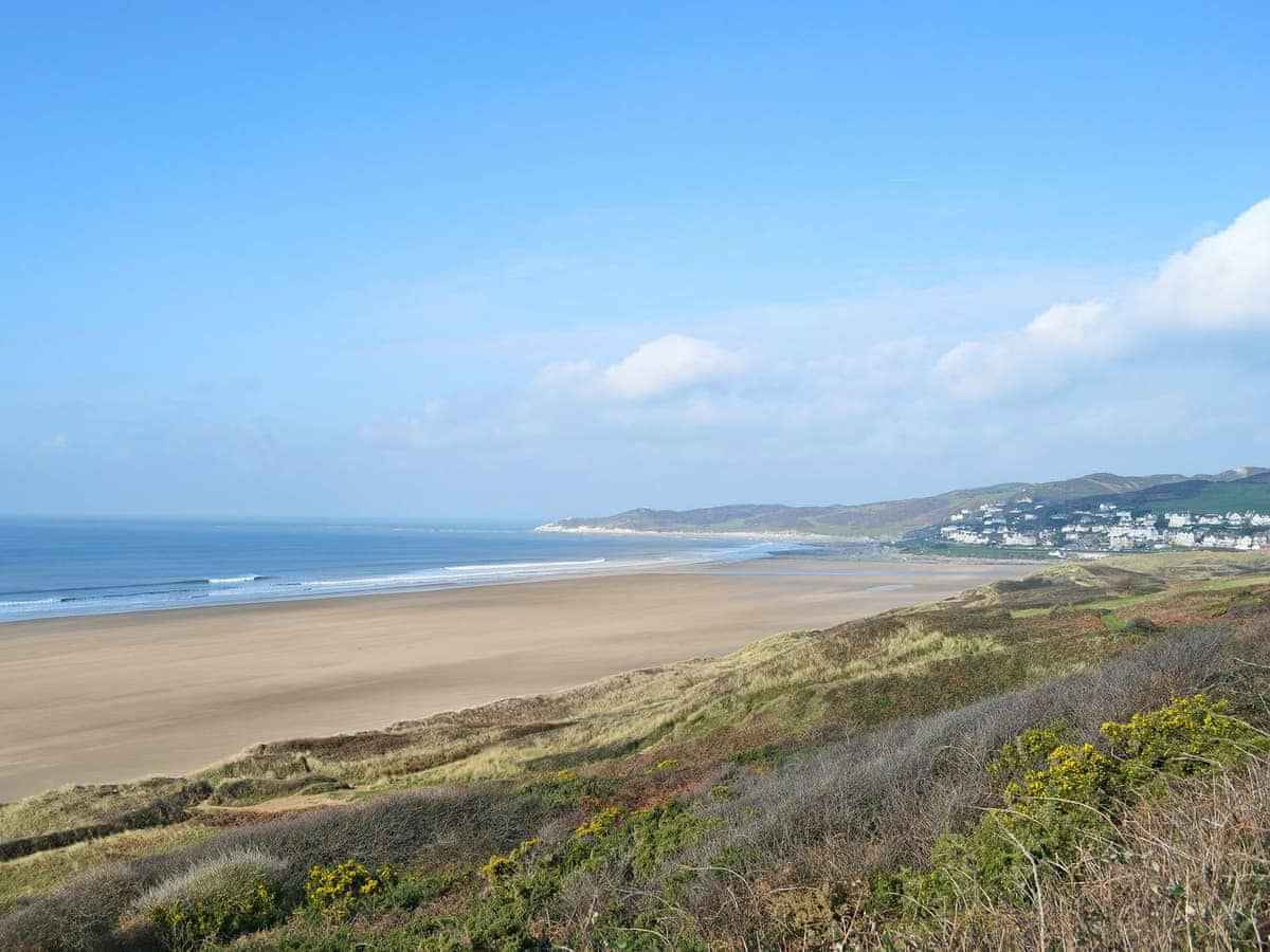 Dogfriendly Devon PetsPyjamas