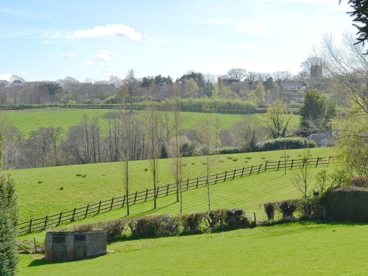 Dog-friendly Rose Cottage, Devon | PetsPyjamas