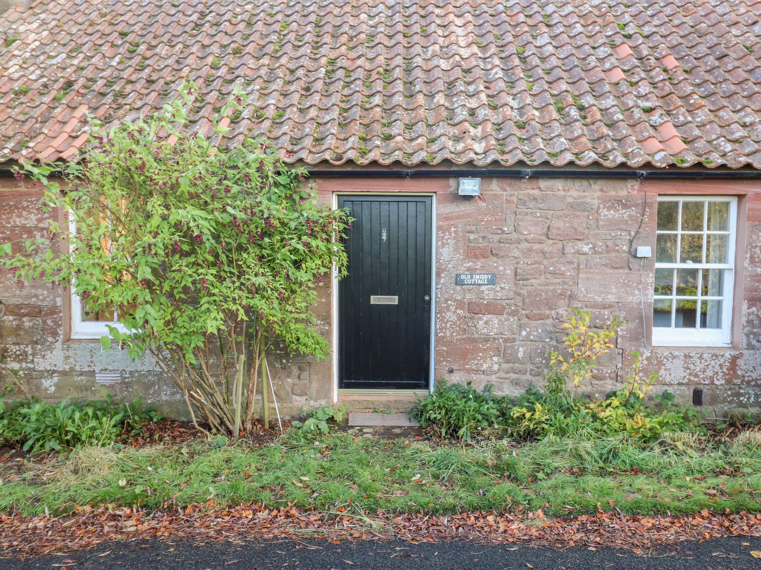 Dogfriendly Old Smiddy Cottage, Scottish Borders PetsPyjamas